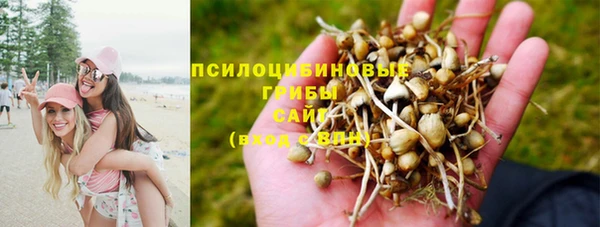 гашиш Балахна